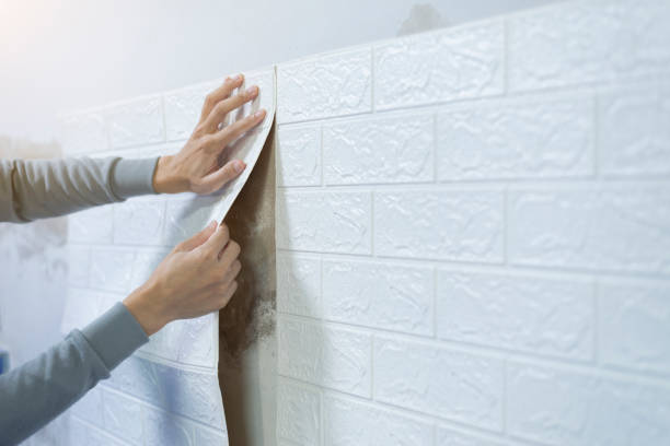 Luxury Wallpaper Installation Project 3